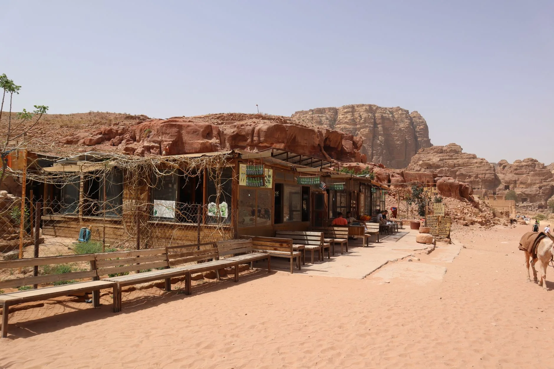Manger végétarien dans chaque région de Jordanie